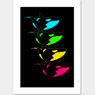 Orca rainbow Posters and Art